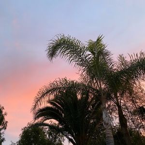 ✨ WELCOME TO MY PAGE ✨